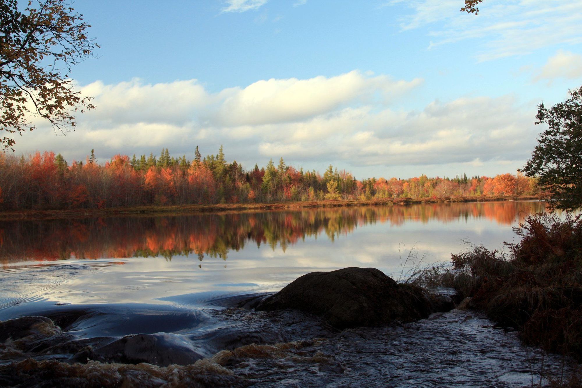 Trout Point Lodge Of Nova Scotia East Kemptville Instalações foto